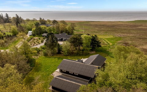 Eske - 200M to the Fjord: Græs, Græs-, Landskab, Økoregion, Almindeligt, Plantesamfund, Land Lot, Udendørs Møbler, Prærie, Shrubland