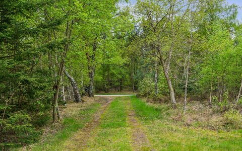 Niglæs - 700M from the Sea: Svømmepøl, Udendørs Møbler, Møbel, Udvej, Flise, Eco Hotel, Skygge, Stol, Fritid, Estate