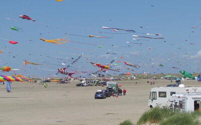 Milly - 100M from the Sea