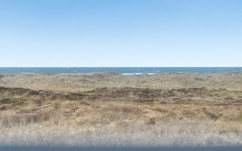 Dania - 300M from the Sea: Naturligt Miljø, Horisont, Økoregion, Hav, Ocean, Strand, Kyst, Vind Wave