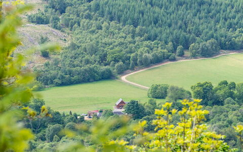 Drumnadrochit 121: Plante, Træ, Naturlige Landskab, Land Lot, Blomst, Biome, Hældning, Bjergrige Landskabsformer, Almindeligt