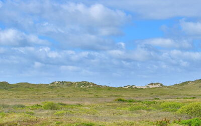 Sohvi - 450M from the Sea