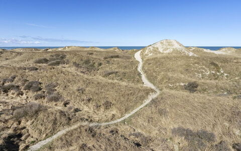 Solunka - 100M from the Sea: Økoregion, Landskab, Terræn, Plantesamfund, Ødemark, Shrubland, Geologi, Sti, Hældning, Chaparral