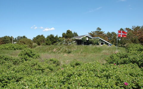 Nilda - 1Km from the Sea: Busk, Plantesamfund, Bunddække, Eng, Have, Pasture, Plantation, Shrubland, Parkere