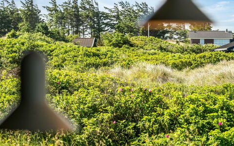 Sigrid - 400M from the Sea: Grøn, Vegetationen, Busk, Plantesamfund, Land Lot, Bunddække, Shrubland, Have, Plantation