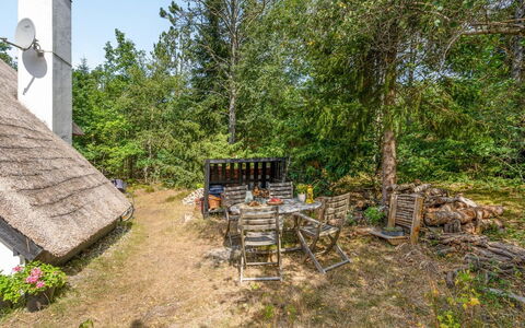 Olaf - 1.4Km from the Sea: Vegetationen, Busk, Land Lot, Sommerhus, Landdistrikt, Have, Tækning, Skygge, Backyard, Landsby