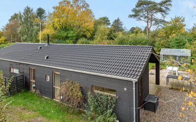 Aino - 1Km from the Sea