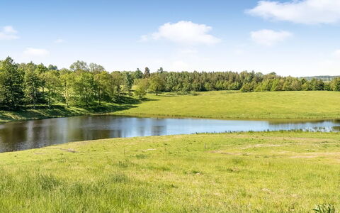 Elisabetha - 16Km from the Sea: Himmel, Blå, Grøn, Græs, Naturligt Miljø, Naturlige Landskab, Græs-, Sky, Sommer, Almindeligt