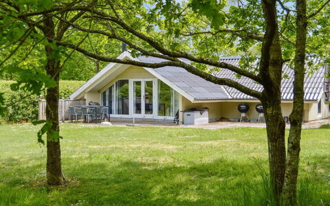 Hailka: Græs, Hjem, Sommerhus, Estate, Lawn, Stuehus, Have, Skygge, Eng, Landscaping