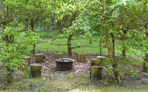 Hailka: Blad, Afdeling, Plantesamfund, Bagagerum, Vedplante, Have, Woodland, Jord, Backyard