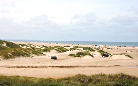 Rauli - 50M from the Sea: Himmel, Økoregion, Sky, Sand, Cumulus, Strand