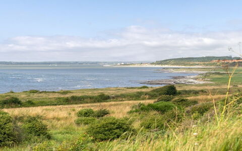 Aranja - 300M to the Fjord: Vand, Vandressourcer, Krop Af Vand, Grøn, Kyst, Coastal Og Oceaniske Landskabsformer, Vegetationen, Økoregion, Horisont, Græs-
