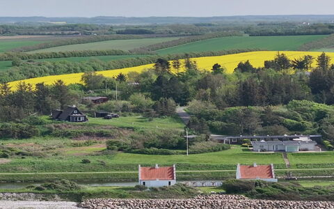 Aranja - 300M to the Fjord: Grøn, Græs, Landskab, Landdistrikt, Græs-, Hus, Land Lot, Almindeligt, Mark