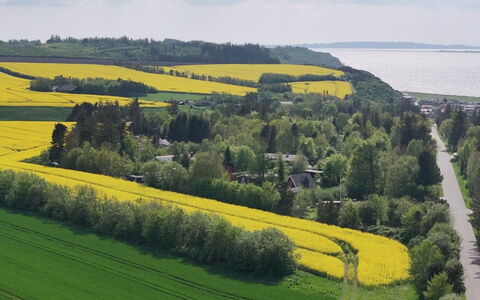Aranja - 300M to the Fjord: Grøn, Naturlige Landskab, Landskab, Mark, Græs-, Almindeligt, Land Lot, Plantation, Landdistrikt, Landbrug