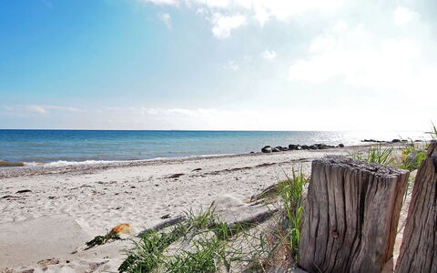 Salme - 100M from the Sea: Blå, Busk, Sommerhus, Bunddække, Have, Estate, Skygge, Landscaping, Stuehus, Eco Hotel