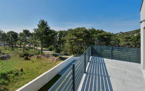 Gušt: Himmel, Plante, Sky, Træ, Hegn, Landskab, Træ, Fritid, Hældning, Naturlige Landskab