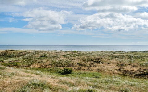 Aletha - 180M from the Sea: Tag, Hjem, Dør, Sommerhus, Skygge, Sidespor, Gård, Estate, Backyard