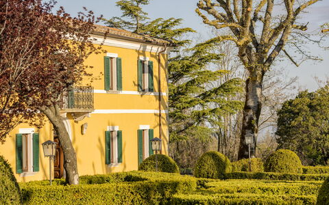 Villa Pianoia: Plante, Himmel, Ejendom, Bygning, Vindue, Træ, Afdeling, Vegetationen, Sollys, Gul