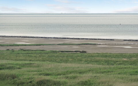 Stilla - 35Km from the Sea: Blå, Busk, Sommerhus, Bunddække, Have, Estate, Skygge, Landscaping, Stuehus, Eco Hotel