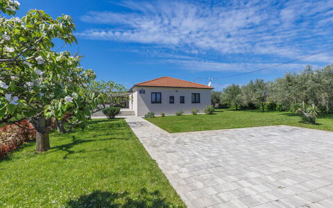 Villa Ani: Plante, Ejendom, Bygning, Naturlige Landskab, Træ, Land Lot, Hus, Sommerhus, Landskab, Boligområde