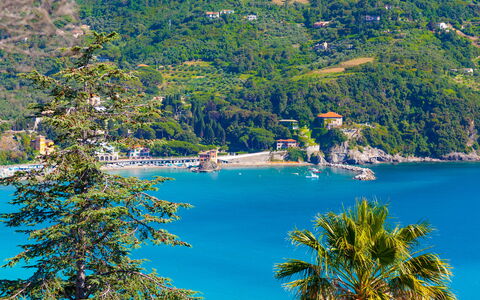 Casa Grande Mare - Levanto: Vand, Plante, Natur, Azure, Træ, Naturlige Landskab, Sø, Vegetationen, Coastal Og Oceaniske Landskabsformer, Biome