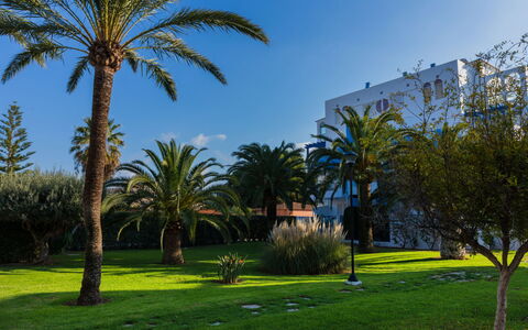 Cala Blanca Denia: Bord, Plante, Bygning, Himmel, Sky, Træ, Veranda, Skygge, Indretning, Stol