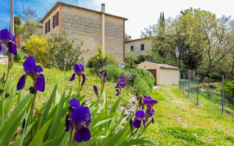 A Casa di Gabri: Vand, Plante, Himmel, Ejendom, Sky, Svømmepøl, Azure, Træ, Udendørs Møbler, Skygge