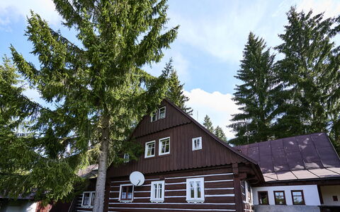 Mountain Serenity & Sauna: Sky, Himmel, Bygning, Plante, Ejendom, Vindue, Hus, Træ, Træ, Lærk