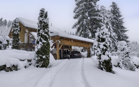 Reiter: Sne, Træ, Vinter, Afdeling, Hus, Hjem, Sommerhus, Fryser, Geologiske Fænomen, Lærk