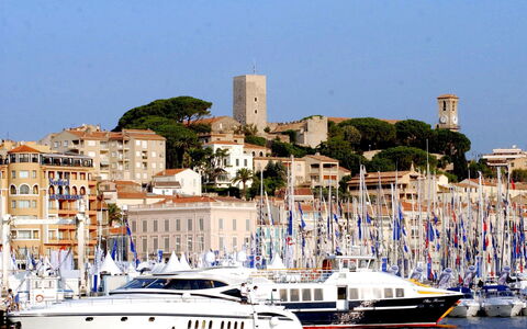 Cannes 535: Båd, Vandfartøjer, Både Og Sejlsport - Udstyr Og Materiel, Marina, Vandvej, Havn, Kanal, Skib, Hav, Skibskonstruktion