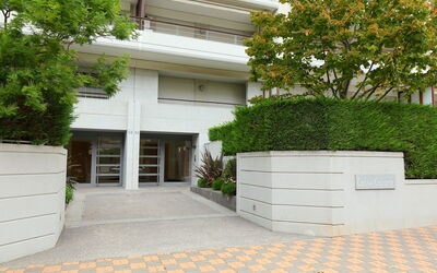 Cannes 535