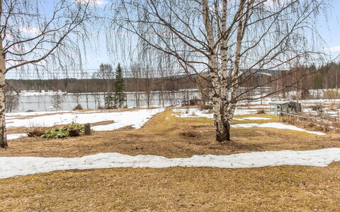Jokiniitty 2: Træ, Afdeling, Vinter, Kvist, Bagagerum, Fryser, Vedplante, Sne, Woodland, Skygge