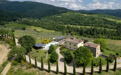 Villa Castelluccio - Arezzo, Toscana: Plante, Sky, Himmel, Bygning, Naturlige Landskab, Træ, Hus, Highland, Land Lot, Vegetationen
