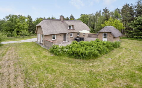 Osmo - 900M from the Sea: Græs, Græs-, Landskab, Økoregion, Almindeligt, Plantesamfund, Land Lot, Udendørs Møbler, Prærie, Shrubland