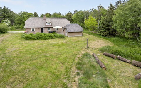 Osmo - 900M from the Sea: Græs, Græs-, Landskab, Økoregion, Almindeligt, Plantesamfund, Land Lot, Udendørs Møbler, Prærie, Shrubland