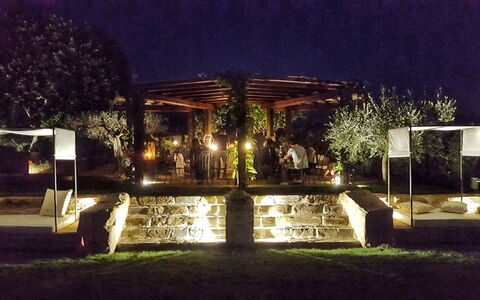 Casa Vacanze Paradiso: Plante, Himmel, Træ, Græs, Landskab, Fritid, Skygge, Landskab Belysning, Lawn, Begivenhed