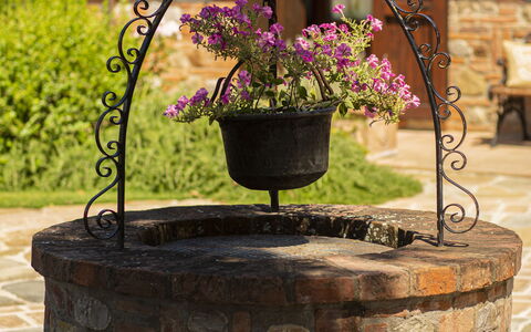 Casa Vacanze Paradiso: Blomst, Plante, Blomsterkrukke, Træ, Font, Græs, Metal, Have, Etårig Plante, Landscaping