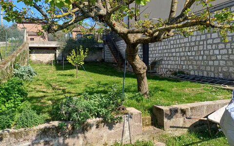 Casa Della Selce: Plante, Træ, Afdeling, Land Lot, Vindue, Hus, Græs, Biome, Bagagerum, Vedplante