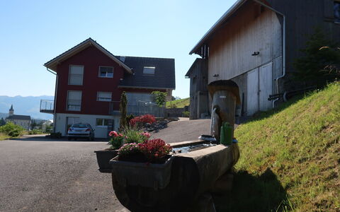 Luxenweid: Plante, Himmel, Vindue, Bygning, Blomsterkrukke, Hus, Land Lot, Sommerhus, Boligområde, Græs