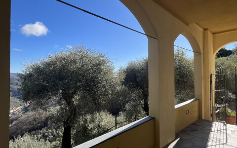 Casa Norvegia: Altan, Gelænder