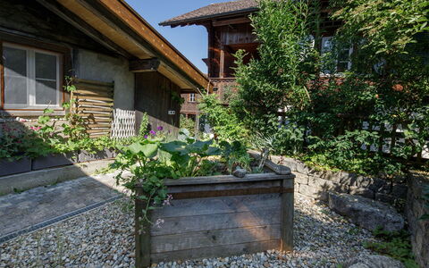 Brienzwiler 125: Busk, Hus, Have, Sommerhus, Bunddække, Backyard, Landscaping, Gård, Blomsterkrukke