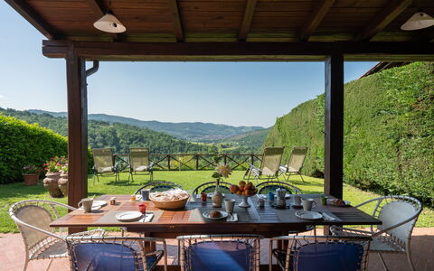 Villa Olivi - Subbiano, Toscana, Pool And Nature: Bord, Plante, Ejendom, Møbel, Stol, Himmel, Natur, Skygge, Veranda, Blomsterkrukke
