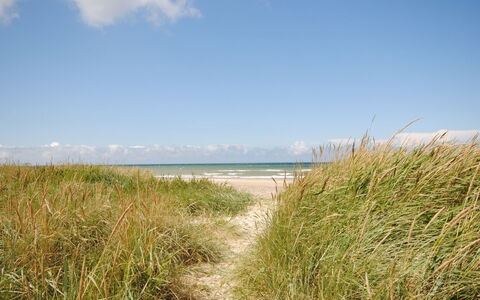 Fredsine - 900M from the Sea: Blå, Busk, Sommerhus, Bunddække, Have, Estate, Skygge, Landscaping, Stuehus, Eco Hotel