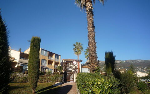Le Jardin de Matisse: Himmel, Ejendom, Træ, Hus, Palme Træ, Hjem, Arkitektur, Bygning, Ejendom, Boligområde
