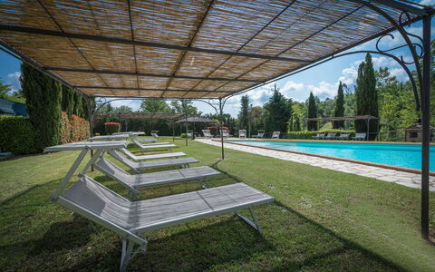 Mulino Al Suono - Badia Agnano, Toscana: Plante, Vand, Himmel, Botanik, Skygge, Urban Design, Træ, Græs, Svømmepøl, Tag