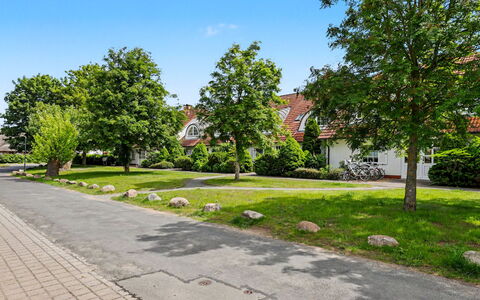 Zempin 160: Træ, Boligområde, Vejbelægning, Kvarter, Busk, Offentlige Rum, Hjem, Fortov, Menneskelig Bosættelse