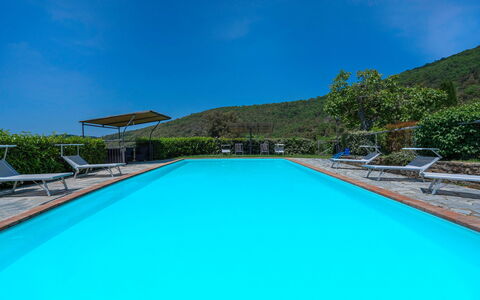 Colle Degli Ulivi - Cortona, Pool, Nature, Privacy: Vand, Himmel, Plante, Svømmepøl, Azure, Rektangel, Bygning, Skygge, Hus, Træ