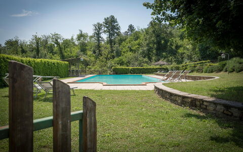 Fonte Nuova - Badia Agnano, Toscana: Vand, Himmel, Plante, Svømmepøl, Naturlige Landskab, Træ, Botanik, Skygge, Krop Af Vand, Sky