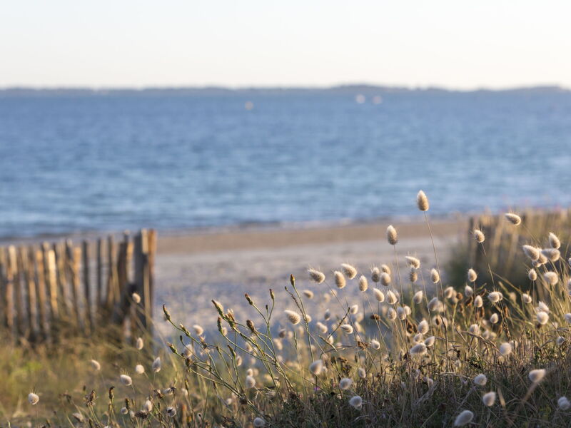 Carnac 224