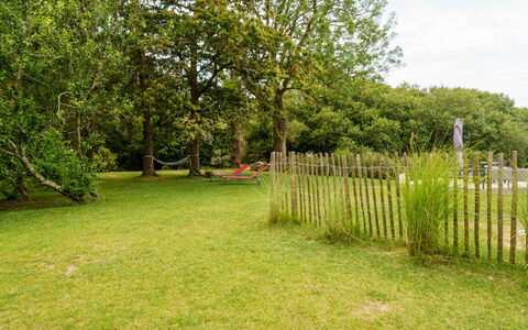 Penhors: Plante, Himmel, Hegn, Naturlige Landskab, Træ, Land Lot, Græs, Busk, Sky, Home Fencing